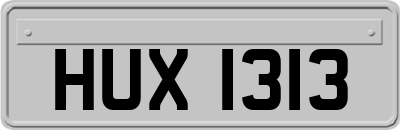 HUX1313