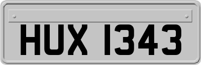 HUX1343