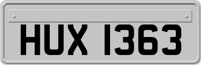 HUX1363