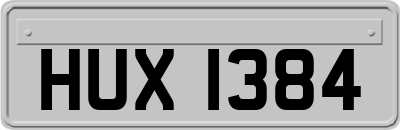 HUX1384