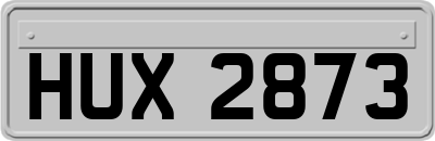 HUX2873