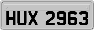 HUX2963