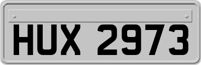 HUX2973