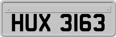 HUX3163