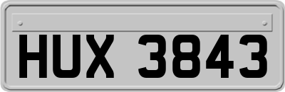 HUX3843