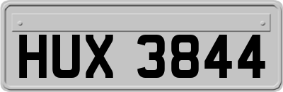 HUX3844