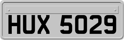 HUX5029