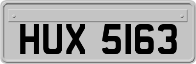 HUX5163