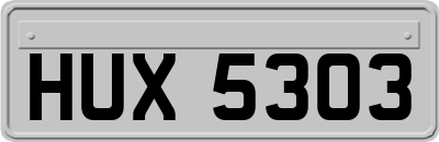 HUX5303