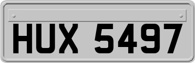 HUX5497