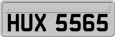 HUX5565