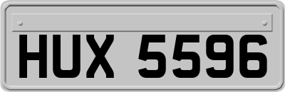 HUX5596