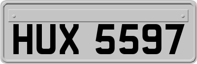 HUX5597