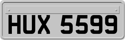 HUX5599