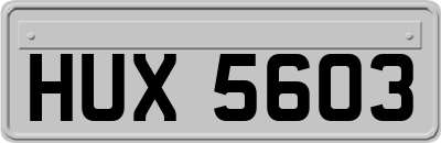 HUX5603