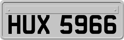 HUX5966