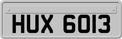 HUX6013