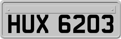 HUX6203