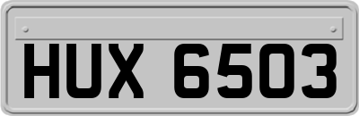 HUX6503