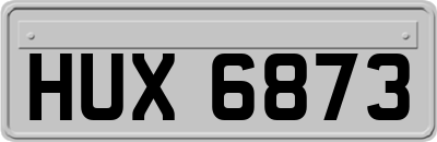 HUX6873