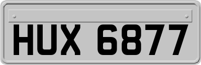 HUX6877