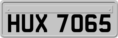 HUX7065