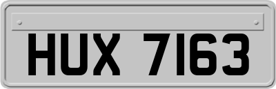 HUX7163