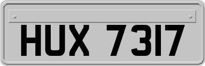 HUX7317