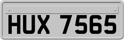 HUX7565