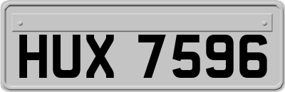 HUX7596