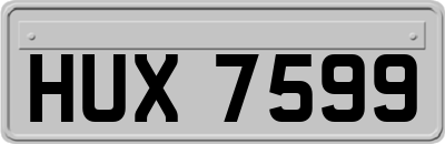 HUX7599