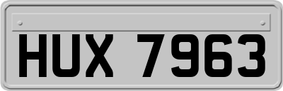 HUX7963