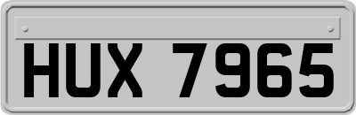 HUX7965