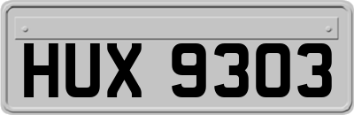 HUX9303