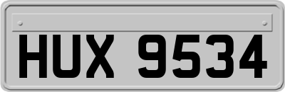 HUX9534