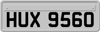 HUX9560