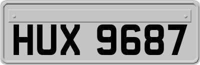 HUX9687