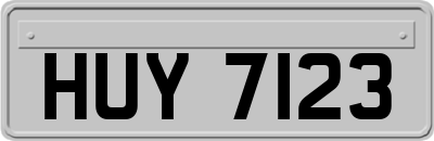 HUY7123