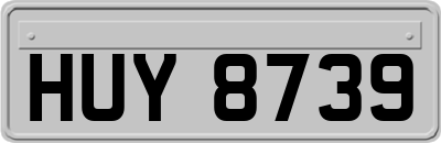 HUY8739