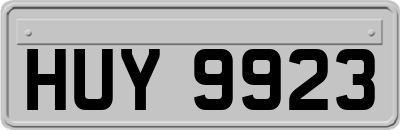 HUY9923
