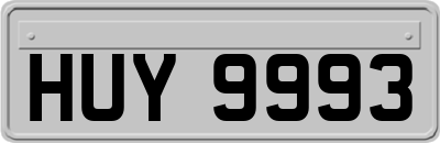 HUY9993