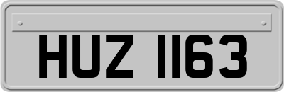 HUZ1163