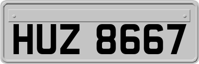 HUZ8667