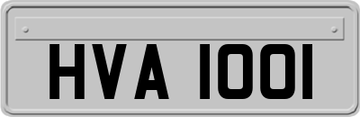 HVA1001