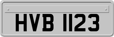 HVB1123