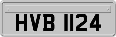 HVB1124
