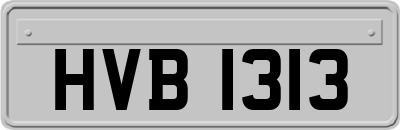 HVB1313