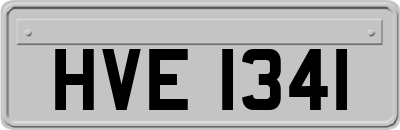 HVE1341