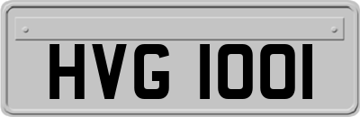 HVG1001