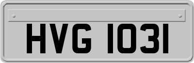 HVG1031